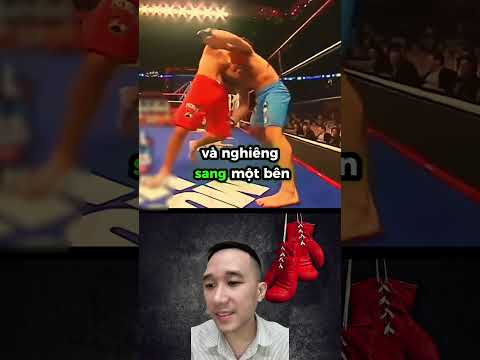 Quá đáng sợ ! Trọng tài liệu đã ổn ?  #vothuat #vothuattonghop #mma