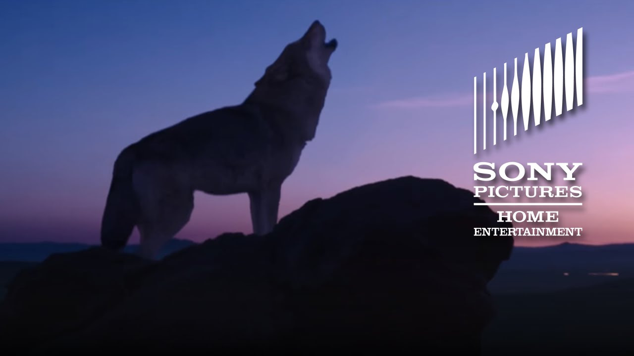 Wolf Totem Trailer thumbnail