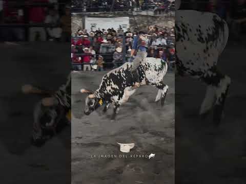 ESTO ES JARIPEO ??