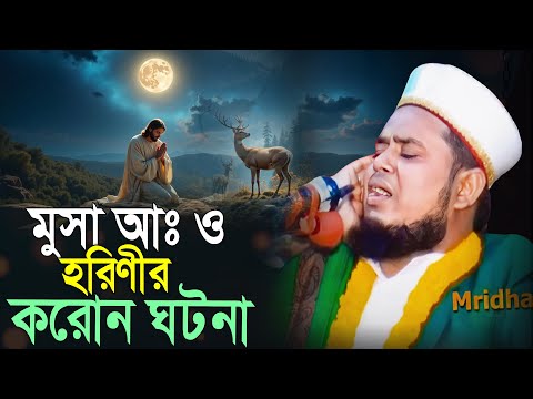 veer, আল্লাহর সঙ্গে মুসার প্রেমের খেলা | হৃদয়ছোঁয়া কাহিনি | মাওলানা আব্দুল কুদ্দুস | Mridha Media