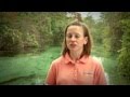 Exploring Watersheds and Water Quality