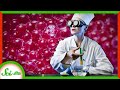 Spherification and Its Applications