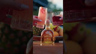 The Terrace X Patron 2026