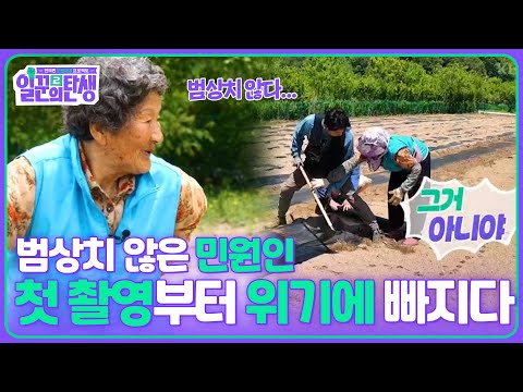 범상치 않은 민원인😨첫 촬영부터 위기에 빠진 삼남매😢 [일꾼의 탄생 시즌2] | KBS 250611 방송