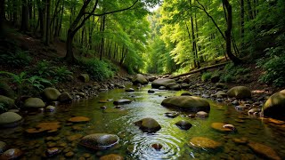Relaxing Music Healing Stress, Anxiety and Depressive States, Heal Mind, Body and Soul Calming Music