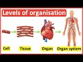 Life Processes and Organism Structure