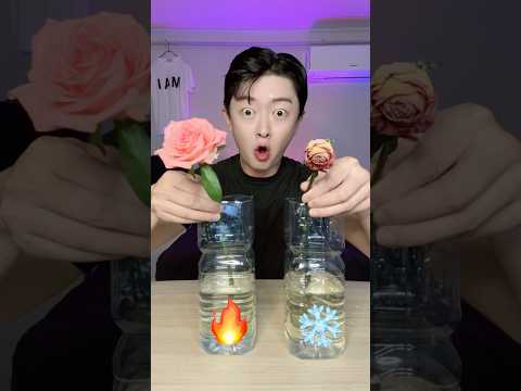 Hot water revives Flowers