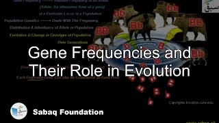Gene Frequencies and Their Role in Evolution
