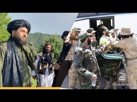 به اساس هدایت ملا یعقوب مجاهد وزیر دفاع ملی افغانستان نیرو های ویژه به کمک یاری مهاجرین افغان درمرز