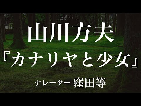 『カナリヤと少女』作：山川方夫　朗読：窪田等　作業用BGMや睡眠導入 おやすみ前 教養にも 本好き 青空文庫