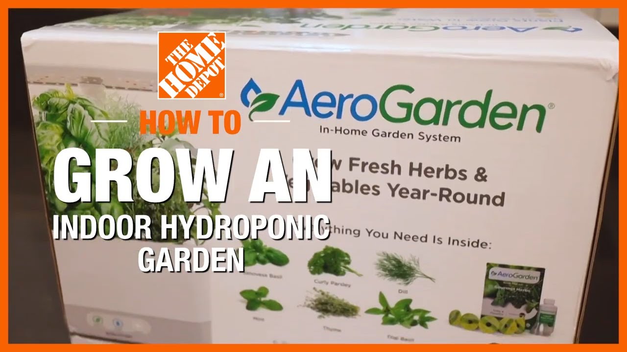 How to Grow an Indoor Hydroponic Garden