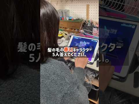 プロセカ【人生】をプレイしながらクイズに答える娘#ドラゴンボール #ワンピース #鬼滅の刃 #僕のヒーローアカデミア #五等分の花嫁 #チェンソーマン