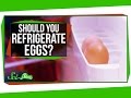 Understanding Egg Storage Practices