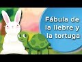 The Tortoise and the Hare Analysis