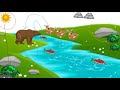 Ecosystem Dynamics and Organism Survival