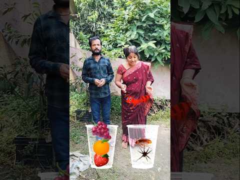🪳🐜🕷️🍇🍓🍊আরশোলার জুস #rimpapurabsp #funny #viralvideo #video #trending #comedy #viral