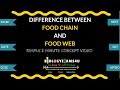Food Webs and Ecosystem Stability