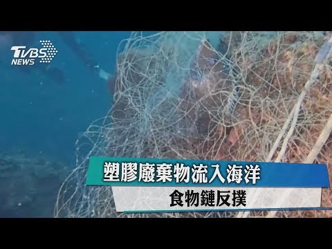 塑膠廢棄物流入海洋　食物鏈反撲 - YouTube