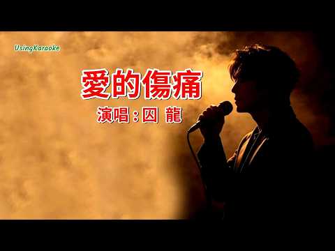 愛的傷痛-囚龍-演唱 KARAOKE