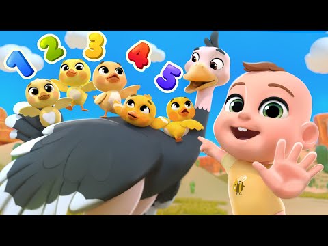 Five Little Ducks (Learn Bird Names) | Lalafun Nursery Rhymes & Kids Songs