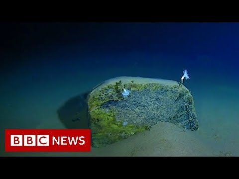YouTube video thumbnail: Mariana Trench: Record-Breaking Journey to the Bottom of the Ocean