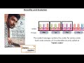 Molecular Biology Concepts and Processes