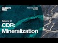 Mineralization Processes and Challenges