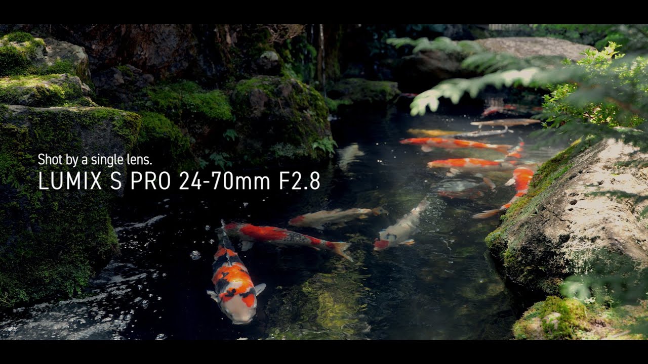 Hero-Content Video Thumbnail(1) for Product