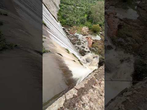 The Untold Danger Growing in Dams 🌊