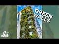 Understanding the Role of Wall Plants in Air Quality Improvement