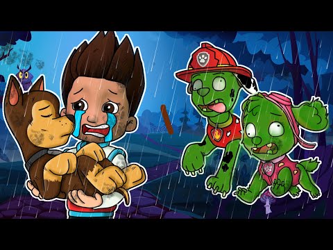 Paw Patrol Ultimate Rescue | CHASE Please Wake Up, Chase! - Very Sad Story | Rainbow Friends 3