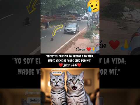 Dios es amor puro🙀🙏