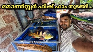 100 രൂപ മുതൽ മോൺസ്റ്റർ ഫിഷുകൾ വില്പനക്ക്...😍 | started monster fish farm | monster fishes for sale