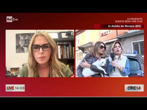 Pamela, tentiamo la consegna della cagnolina Bianca. Ma qualcosa va storto