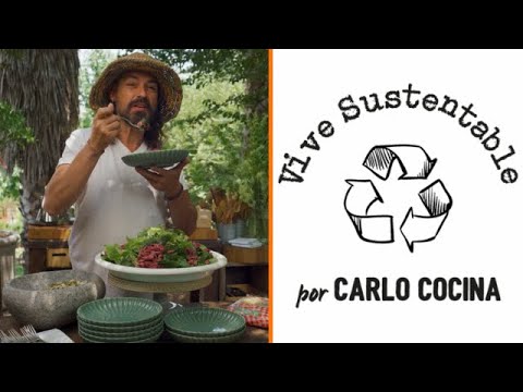 Descubre en Vive Sustentable la deliciosa receta ensalada de pasta de Carlo Von Mülhenbrock