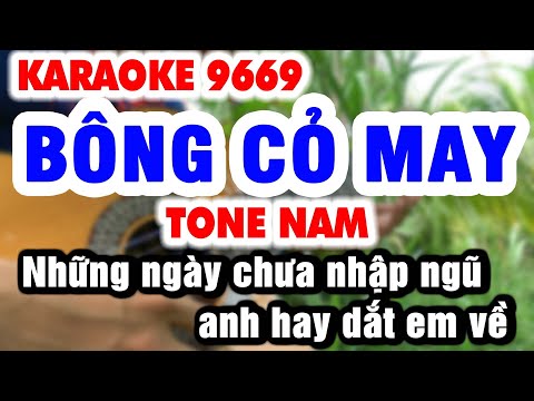 Karaoke BÔNG CỎ MAY Tone Nam – Rumba Những Ngày Chưa Nhập Ngũ | Nhạc Sống Organ 9669