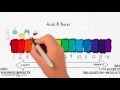 Acids and Bases Concepts
