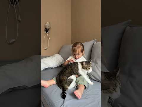 Когда кто-то реально рад, что каникулы заканчиваются #дети #кот #каникулы