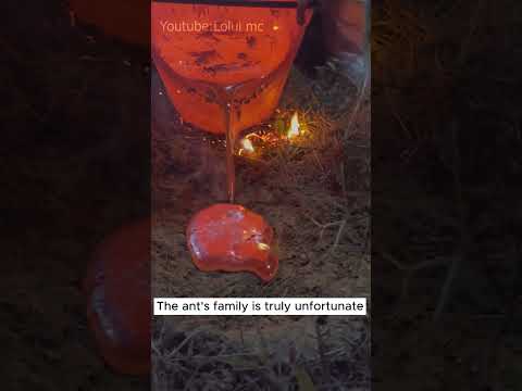 Destroy the ant nest #rock #crystals #gemstone #hunting #shorts