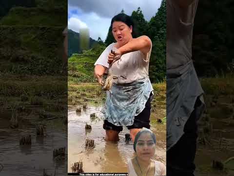 #देखो चाइना के लोगों का मेंढ़क पालन करने का गज़ब का तरीका #😯