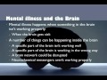 Understanding Mental Illness and Brain Function