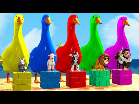 Long Slide Game With Elephant Gorilla Buffalo Hippopotamus Tiger 3d Animal Game Funny 3d Animals