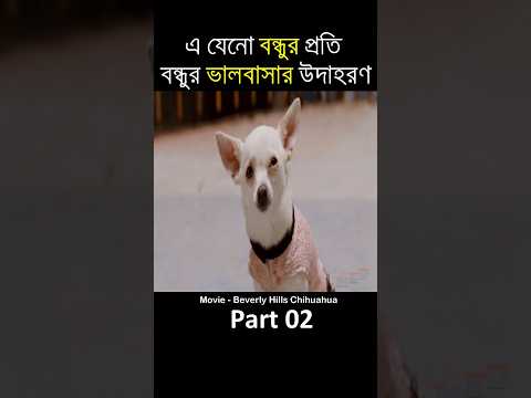 বন্ধুর প্রতি বন্ধুর ভালবাসার উদাহরণ part02 #shorts #ytshorts