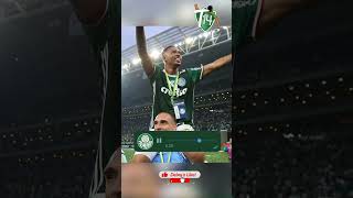 Deixe sua MEMÓRIA sobre... • #palmeiras  #Libertadores #Futebol #Brasil #GabrielJesus #Brasileirao