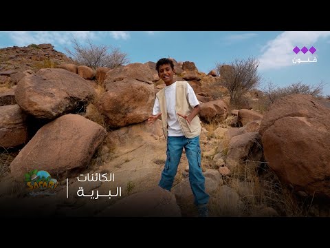 تميم في عيش سفاري | أسرار الكائنات البرية، يخبرنا عنها تميم من وسط البراري 🐾