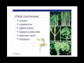 Plant Hormones and Growth Responses
