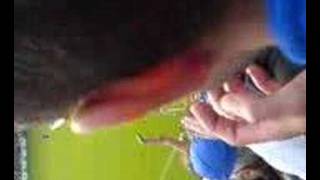 Arminia Bielefeld - Hamburger SV 2