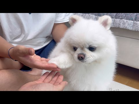 큰형과 작은형 중에 누굴 더 좋아하는지 테스트 해봤어요