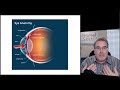 Ophthalmic Procedures and Functions