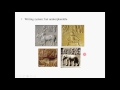 South Asian History and Culture